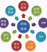 网络推广与SEO 核心差异与东营本地化策略解析